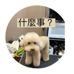 樂樂貼圖實用版本！