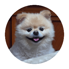 omochi_20251130211543