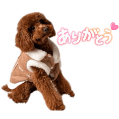 HAYATO_20251130211527