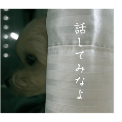 momozo_20251201003537