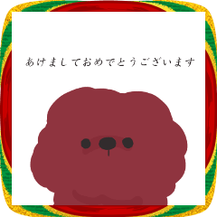 日の出プードル