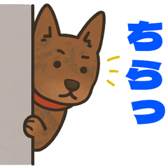 Dog Stamps for Daily Conversations