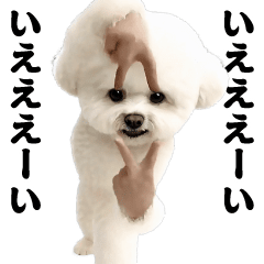 踊る！横揺れ界隈ビジョンフリーゼ/犬1