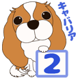キャバリア犬♪ブレンハイム(白少なめ)２