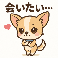 chihuahua and labrador