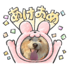 Sato Sato_20251129000207