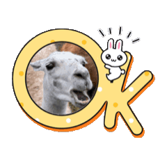 miniyon_20251130202721