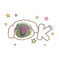 波波可可愛愛日常