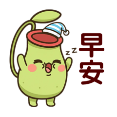 再吵浸豬籠的豬籠草