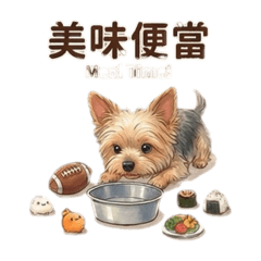 約克夏小乖問候