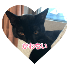 Tomomi_20251130204939