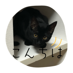 Tomomi_20251130205252