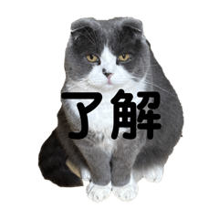 sunagimo_20251130210108