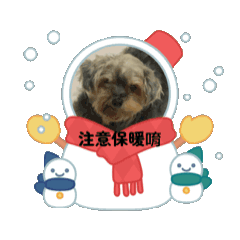 毛毛專屬用語