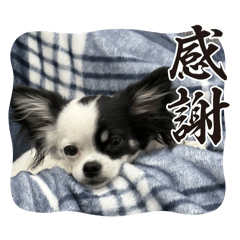 ILAFU_20251201082940