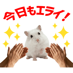Hamster Daily Caring Stickers