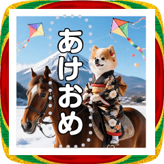 ♡馬に乗る犬♡