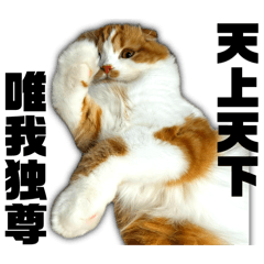 うちのチノすけ その三