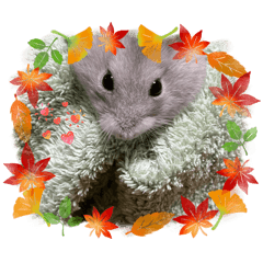 maimai_20251201102209527