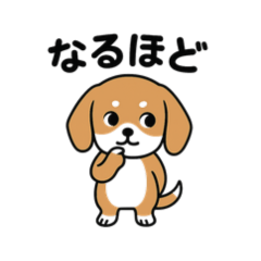 ★使いやすいベーグルの日常★