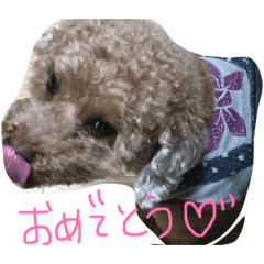 なかまたちやもち