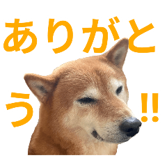 yurika_20251130221913