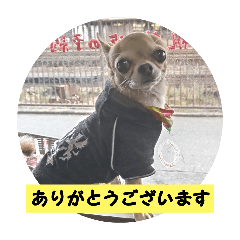 JIMIN_20251201105702