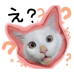 Ririnco_20251201104704