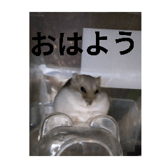 Monaka_20251130025243