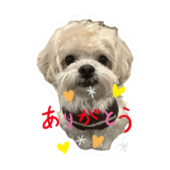 そぼろのスタンプ①