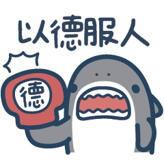 Mr. Shark Sports Support Team