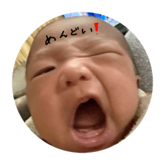 sebasu_20251130103841