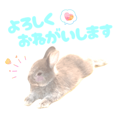 SOUSI_20251130101949