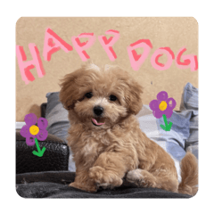 土豆是一顆土豆