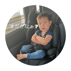 Hachi_20251201121310