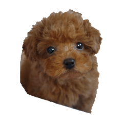 Rei_20251130111955