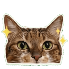 Use every day Realistic calico cat stamp