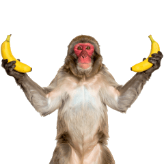 Emotion-Overflowing Japanese Monkey