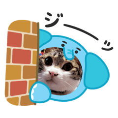 emily_20251129193101