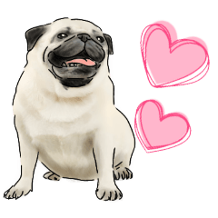 patezou_20251130175708