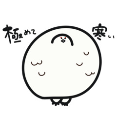 suzu_20251130190746