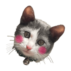 annie_20251130212143