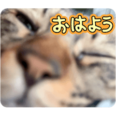 hiroki_20251201125608