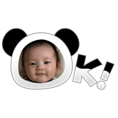 Panda_20251201131438