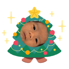 minomino12_20251201133932