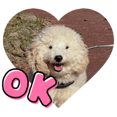 SOUpapa_20251201140855