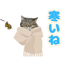 Moka&Bisu sticker10