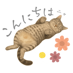 natsu_20251201112857