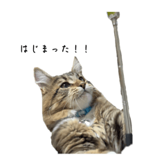 sachi_20251129220825