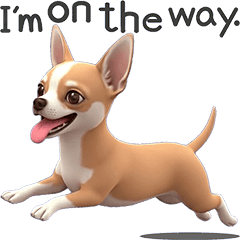 "Chihuahua" dog  # 1